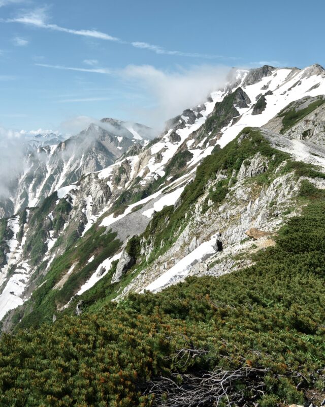 山の景色って離れたところからでも素晴らしいから てっぺんまで登らなくてもいいかもって思うけど あそこから見たらどんなかなぁって気になっちゃって 結局は登っちゃうっていうジレンマ  #白馬岳 #登山 #ハイキング #風景 #haveagoodcamp #lifeoverground