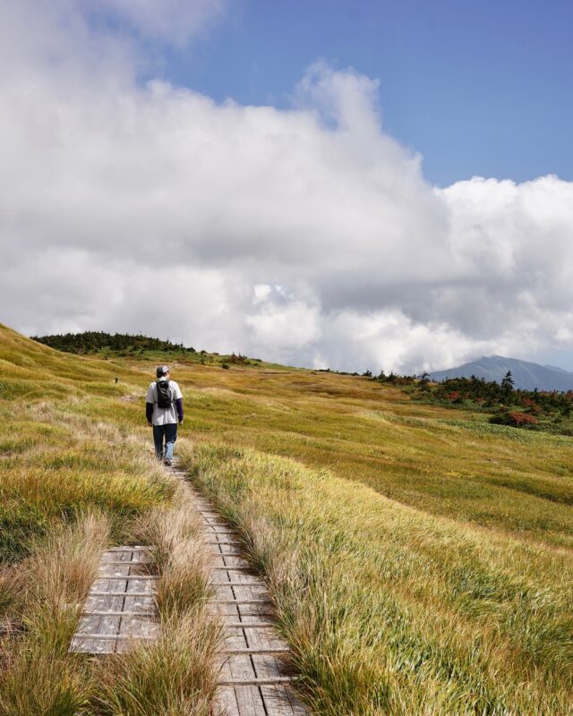 途中ガスに包まれそうな雰囲気をかもし出しつつも 最終的には晴天に恵まれた秋の苗場山  山頂に広がる天空の楽園の眺めが最高すぎたのよ はっきし言って  #苗場山 #日本百名山 #山歩き #登山 #風景 #haveagoodcamp #lifeoverground